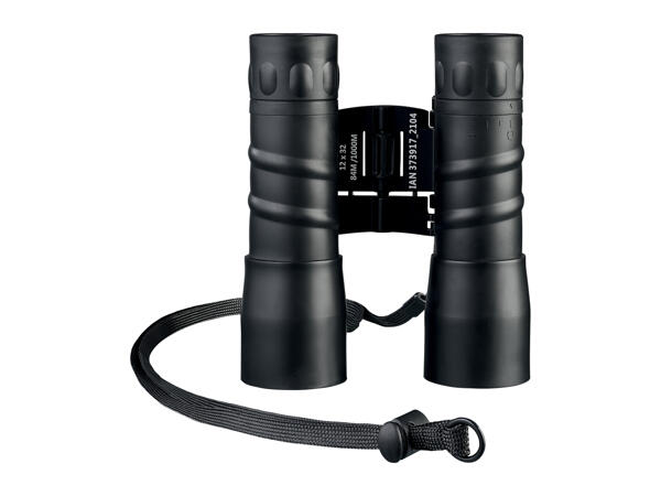 Auriol 12x32 Binoculars