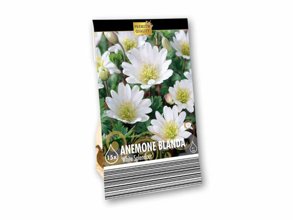 Blomsterløg premium