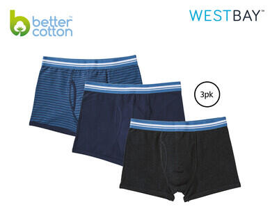 Men's Briefs 5pk or Trunks 3pk