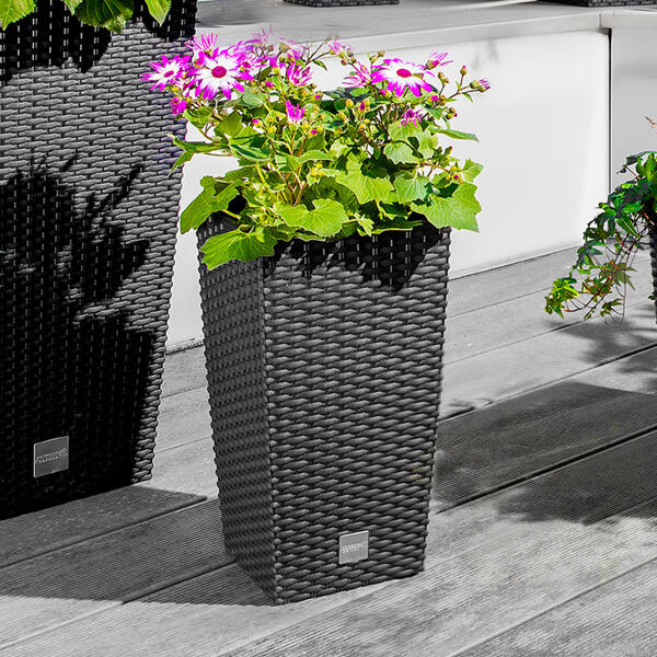 Pflanzsäule in Rattan-Optik