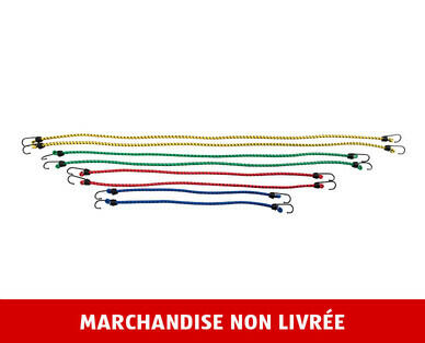 AUTO XS 
 TENDEURS ÉLASTIQUES