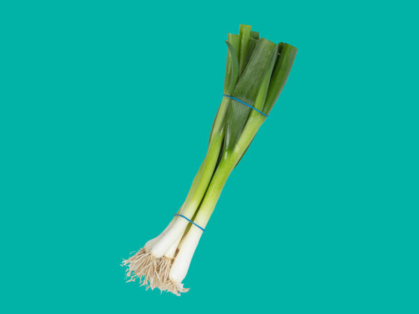 Spring Onion