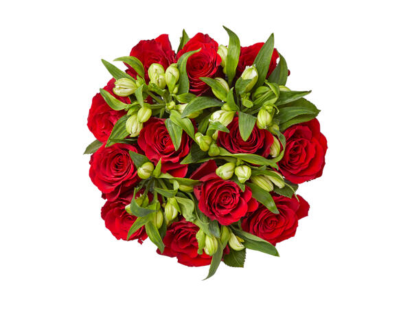 Freedom Roses