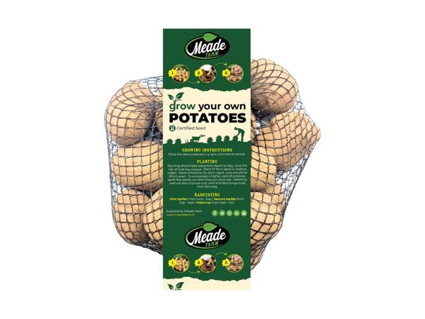 Seed Potatoes