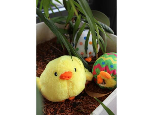 Reversible Plush