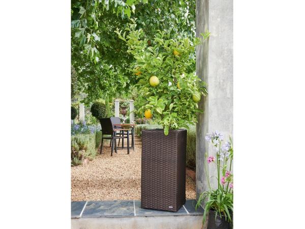 Wicker Planter