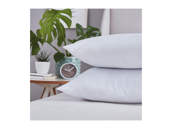 Silentnight Anti-Allergy Pillow Pair