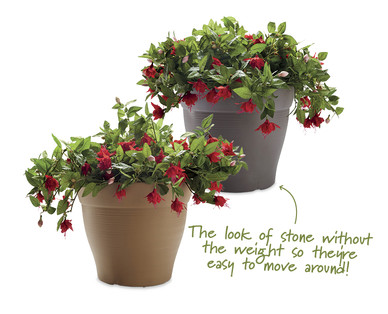 Sandhurst Planter^