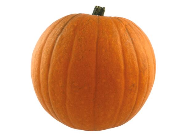 Medium Pumpkin