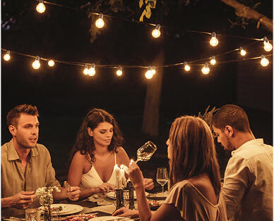 LED Festoon Lights