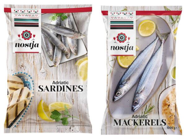 Adria Sardinen oder Makrelen ganz