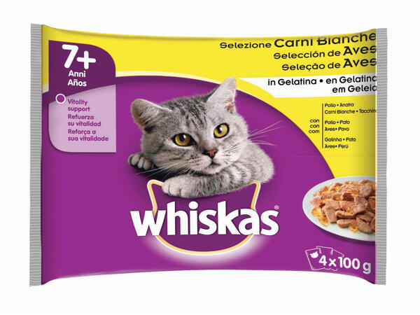 Cat Food in Gelatine