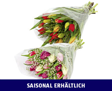 BUNTER TULPENSTRAUSS