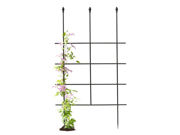 Trellis
