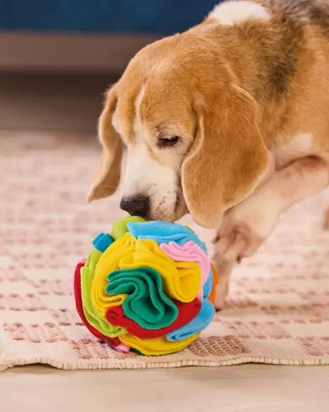 Snuffle Toy