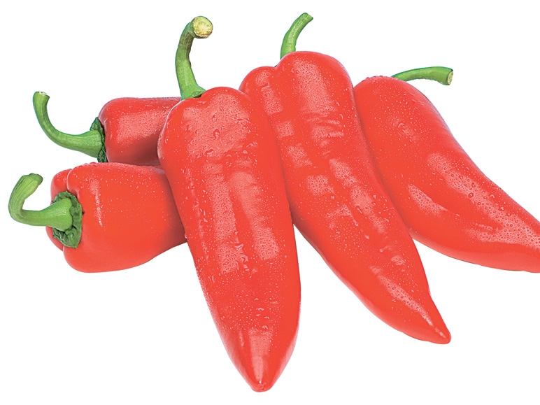 Spitzpaprika rot