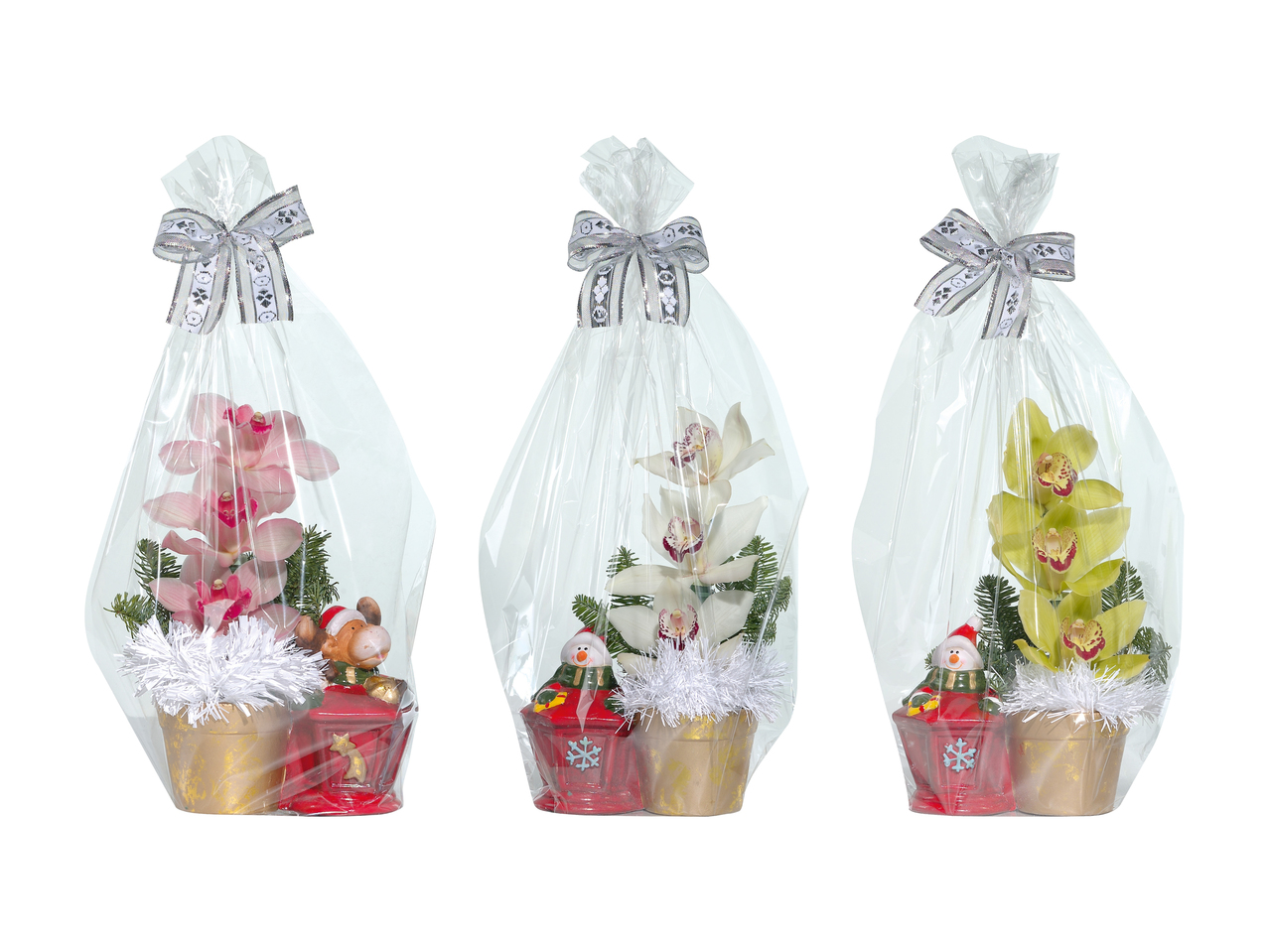 Composition florale de 3 fleurs d'orchidées dans une figurine de Noël