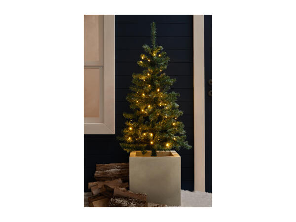 Livarno Home 50 LED Battery Operated String Lights