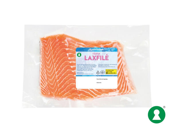 Färsk laxfilé