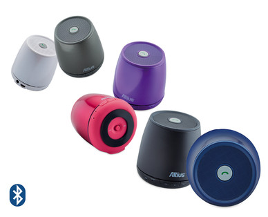 Wireless Speaker Bug