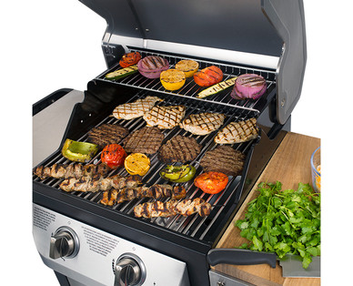 Range Master 2-Burner Stainless Steel Gas Grill With Folding Shelves