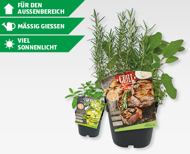 GARDENLINE(R) Cocktail- und Grillkräuter