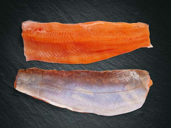 Saiblingsfilet