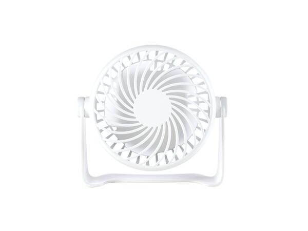 Portable Fan
