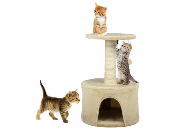 Cat Activity Tower