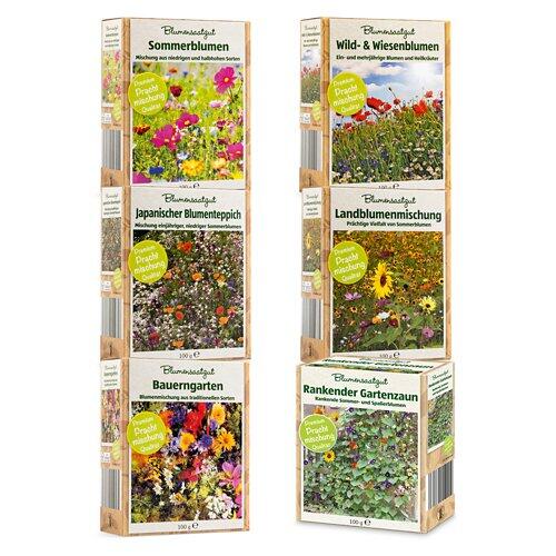 Blumensaatgut Streuschachtel