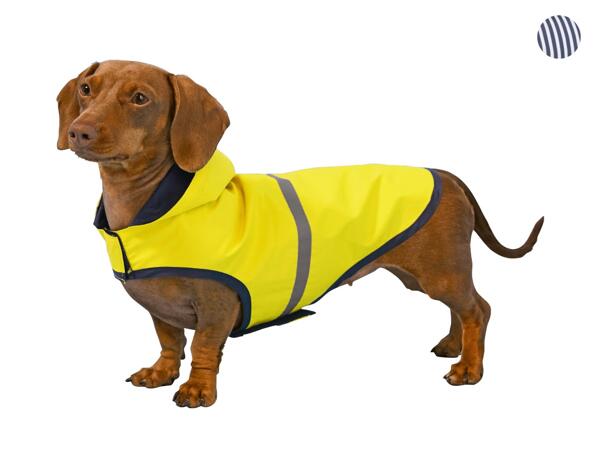Dog Raincoat
