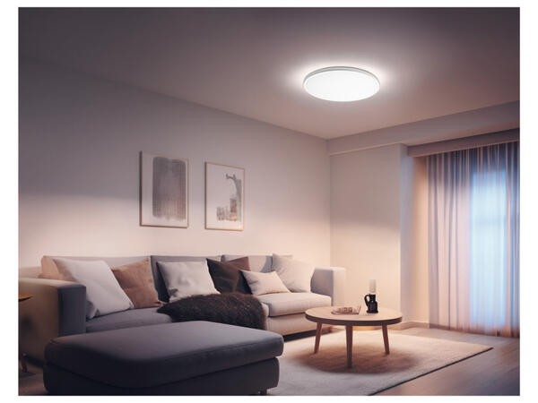 LIVARNO home Nástěnné / Stropní LED svítidlo