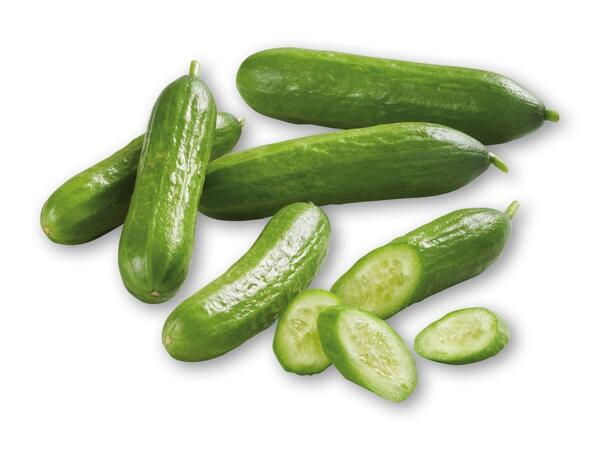 Skoleagurker eller citroner