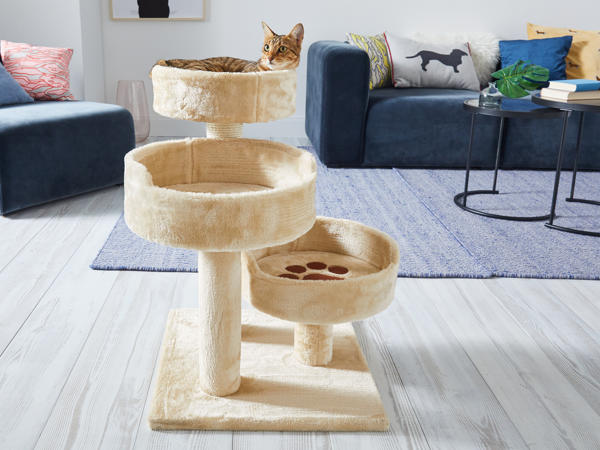 Arbre à chat