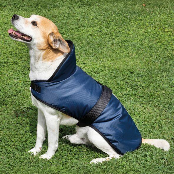 ROMEO(R) 				Hundejacke