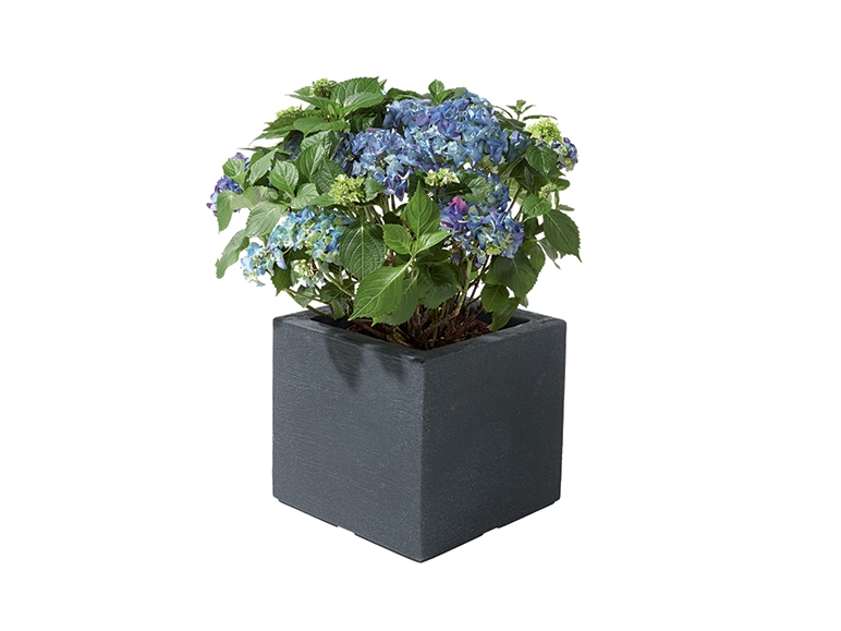 Planter
