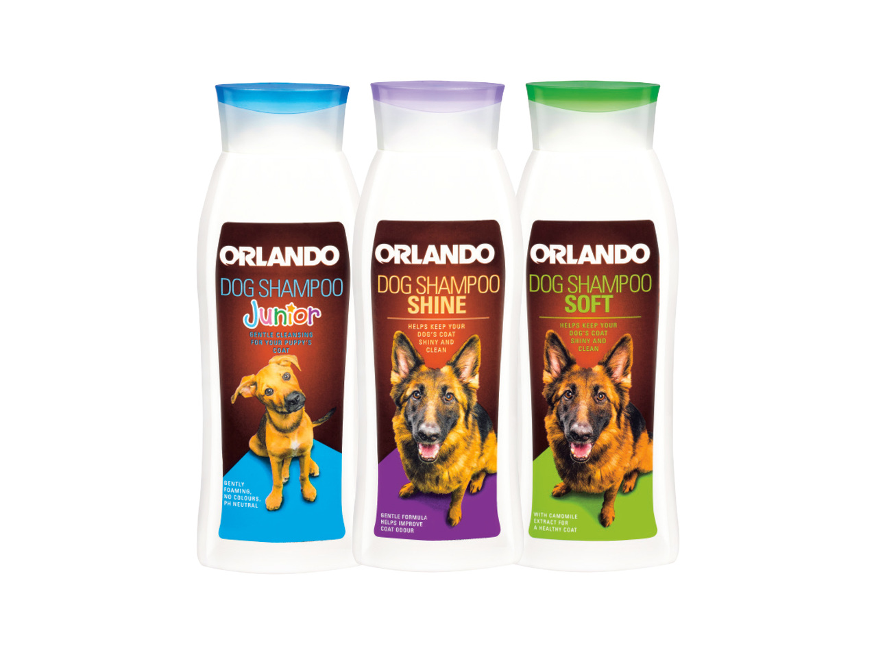 Hundschampo1
