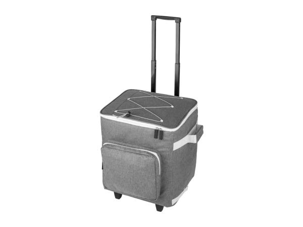 Cool Bag Shopping Trolley