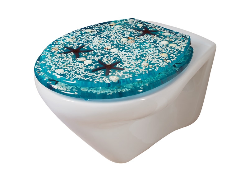 Toilet Seat