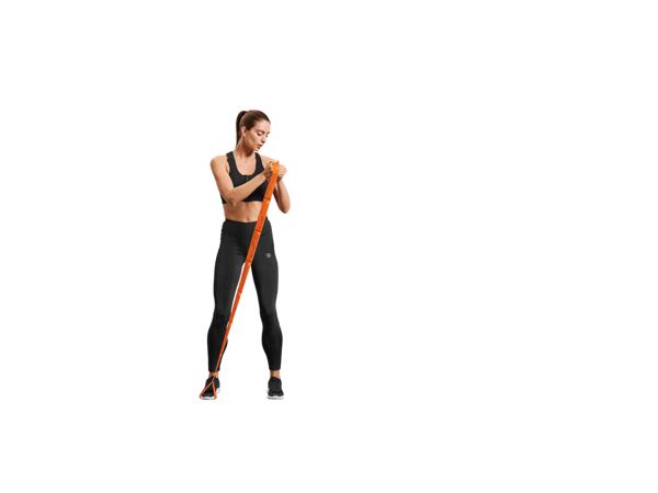 Fitness Accessories