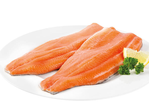 FISCHERSTOLZ Lachsforelle