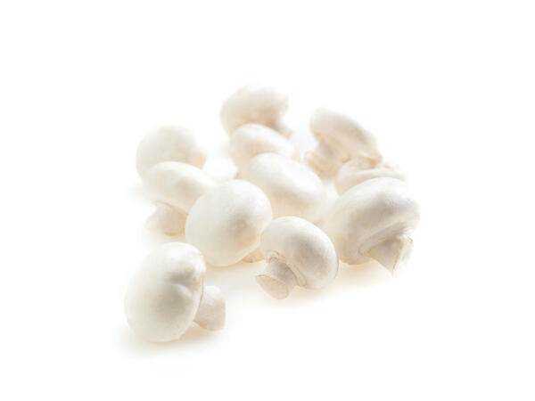 Champignons