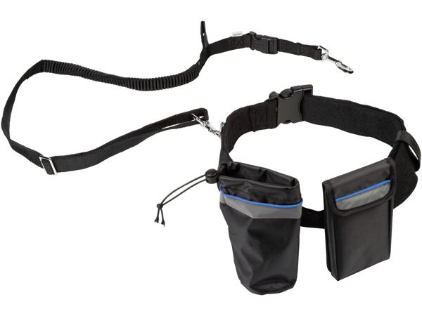 Dog Lead Assortment