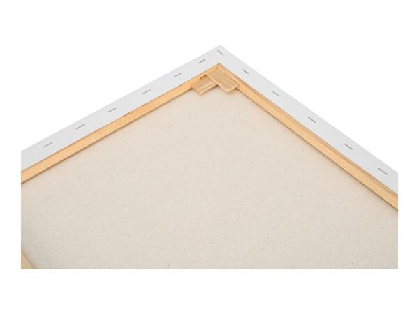 Canvas - 1 Piece