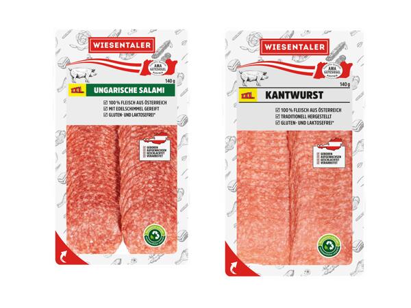 Ungarische Salami oder Kantwurst