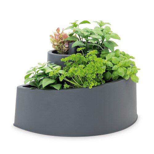 BELAVI Spirale per erbe aromatiche
