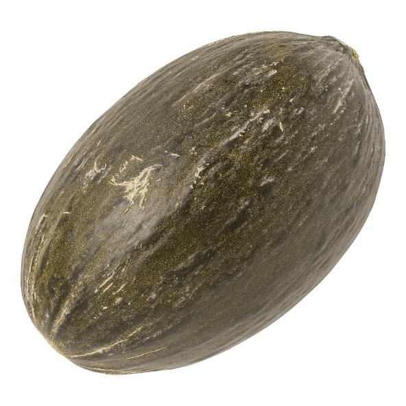 Piel-de-Sapo-Melone
