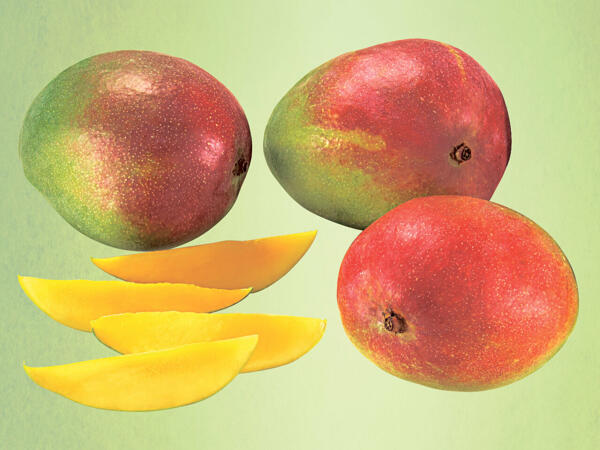 Mango