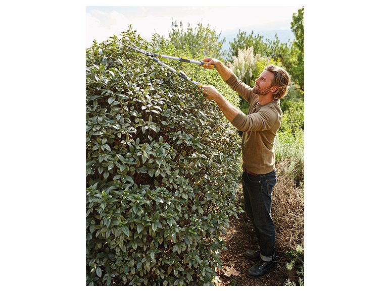 FLORABEST Extendable Hedge Shears