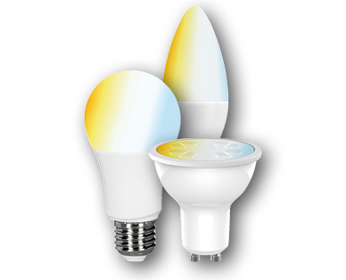 Ampoule LED connectée blanche MÜLLER LICHT